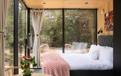 Stay Among the Pines in Bastrop’s Striking New Mirror Cabins