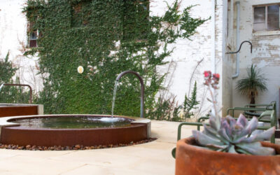Ottine Mineral Springs: The Next Big Thing in Wellness is Right Here in Central Texas