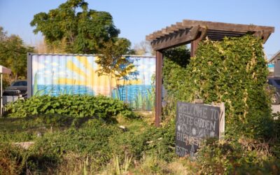 Garden Conservancy Hosts Fall Tour of Private Austin Gardens