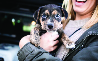 10 Austin Nonprofits Who Nourish, Educate & Help Those in Need
