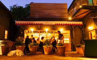 The Coziest Places in Austin to Read, Sip and Unwind
